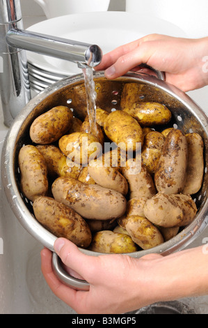 Laver les pommes de terre dans l'HOMME NOUVEAU COLLANDER Banque D'Images