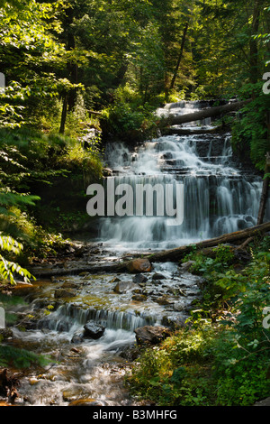 Chute d'eau de Wagner Falls sur Wagner Creek à Munising Michigan mi beau paysage forêt nature vue de dessus personne vertical aux États-Unis haute résolution Banque D'Images