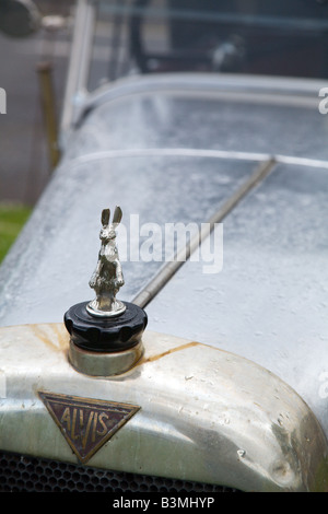 Lapin hotte ornement sur vintage Alvis radiateur de voiture Banque D'Images