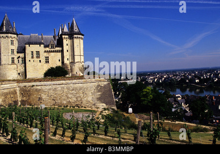 France Loire Saumur Chateau et vignes qui donne sur la Loire à Saumur Banque D'Images