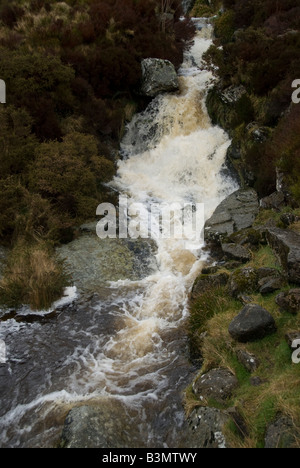 Rivière tourbière irlandaise Banque D'Images