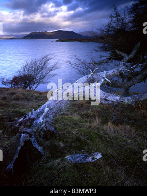 Vue sur Connel Beinn Lora Bay de Dunstaffnage, près d'Oban, Argyll, Scotland, UK Banque D'Images