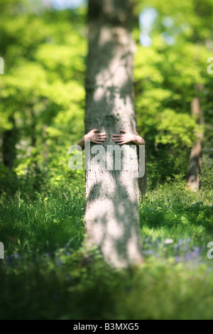 Les mains serrant un arbre Banque D'Images