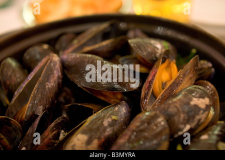 Spécialité locale de 'Moules' Frittes moules et frites dans un restaurant populaire 'Leon' à Bruxelles Belgique Banque D'Images