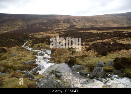 Rivière tourbière irlandaise Banque D'Images