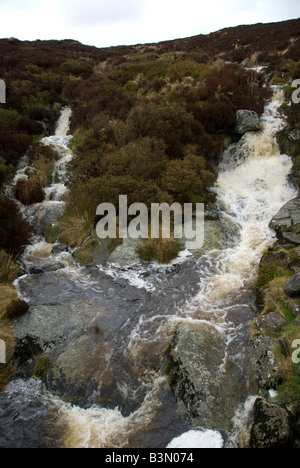 Rivière tourbière irlandaise Banque D'Images