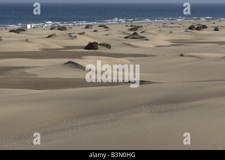 Dunes de sable de Maspalomas une réserve naturelle de 250 hectares sculptés par le vent du sud de Gran Canaria Îles Canaries Espagne Banque D'Images