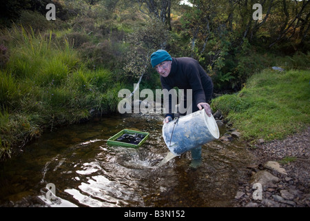 Personnes âgées ermite Tom Leppard récupère de l'eau fraîche d'un ruisseau proche à son refuge secret abri sur Skye, Ecosse Banque D'Images