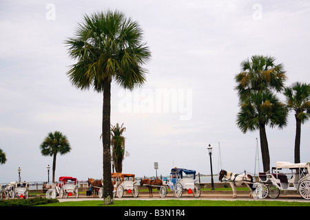 Calèches à Saint Augustine en Floride Banque D'Images