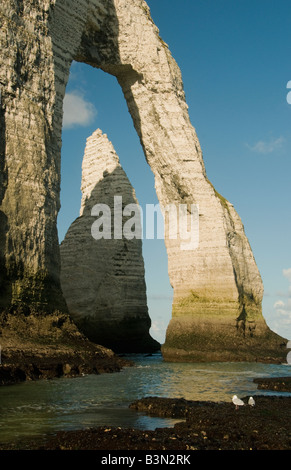 L'aiguille (aiguille) par Porte d'Aval, arch, Etretat, Normandie, France Banque D'Images