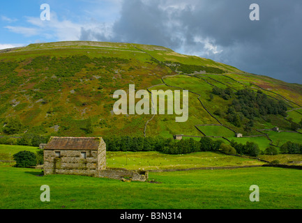 Domaine des granges dans la région de Swaledale, près de Mickfield, avec Kisdon Hill dans l'arrière-plan, dans le Yorkshire Dales National Park, England UK Banque D'Images