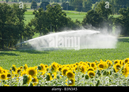 Système d'irrigation des cultures de maïs de l'arrosage en été dans la vallée du Lot Aquitaine France Banque D'Images