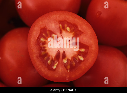 Close up de tranches de tomate Solanum lycopersicum USA Banque D'Images