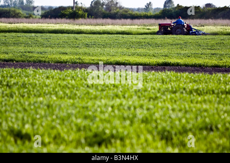 Exploitant agricole travaillant avec le tracteur sur un champ agricole au printemps Banque D'Images