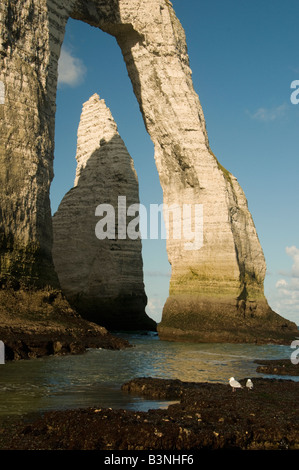 L'aiguille (aiguille) par Porte d'Aval, arch, Etretat, Normandie, France Banque D'Images