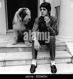 Paul McCartney chanteur avec les Beatles à son St John s maison en bois avec son animal de compagnie, Juin 1967 Banque D'Images