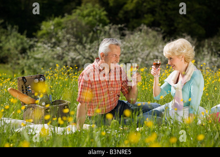 Allemagne, Baden-Württemberg, Tübingen, Senior couple having picnic, toasting wine glass Banque D'Images
