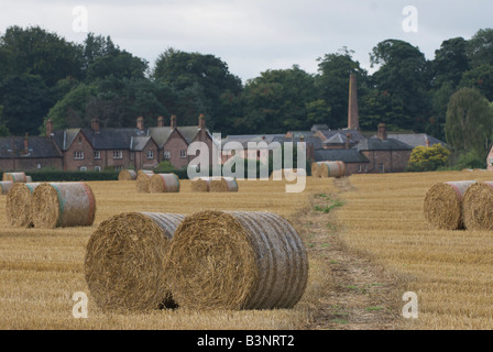 Tatton Park Farm une toile à la récolte des cultures sur l'immobilier à Knutsford Tatton, Cheshire Banque D'Images