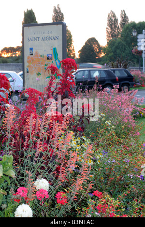 Les plantations d'agrément MUNICIPALES À ST AIGNAN LOIRE VALLEY EN UTILISANT ANTHEMIS ET AGASTACHE Banque D'Images