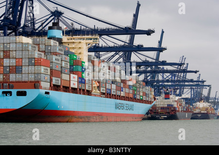 Cargo d'être chargés à bord d'un navire à quai de Felixstowe Banque D'Images