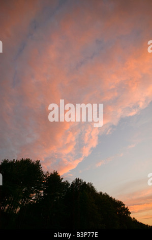 A la tombée du ciel au dessus des arbres à la CNI sur le bord du Parc National de Aukstaitija au nord-est de la Lituanie Banque D'Images