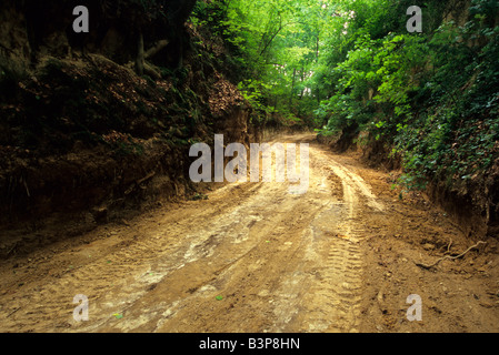 La loess winding road Banque D'Images