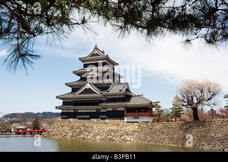 Le Japon, Kyoto, dans la préfecture de Nagano . Château de Matsumoto, douves et spring cherry tree blossom avec châssis pine tree Banque D'Images