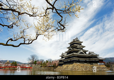 Le Japon, Kyoto, dans la préfecture de Nagano . Château de Matsumoto et moat spring cherry tree blossom Banque D'Images