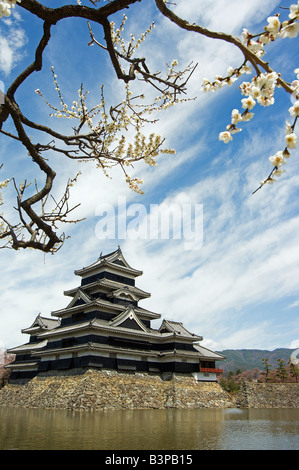 Le Japon, Kyoto, la préfecture de Nagano. Château de Matsumoto et moat spring cherry tree blossom Banque D'Images