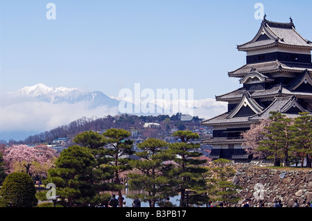 Le Japon, Kyoto, la préfecture de Nagano. Château de Matsumoto et Moat, pins, cerisiers en fleurs de printemps et d'une montagne Banque D'Images