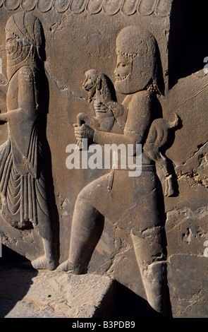 L'Iran, Persépolis. Un envoyé de l'un des pays du grand Empire Perse portant un agneau, bas-relief sur le stairwa Banque D'Images