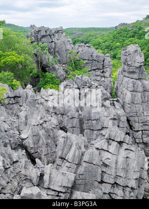 Le nord de Madagascar, calcaire karstique, connu à Madagascar comme tsingy, est une caractéristique de la 18 000 ha de réserve spéciale d'Ankarana. Les pinacles d'une netteté impressionnante sont le résultat de millions d'années d'érosion.Tsingy est un mot malgache qui signifie "marcher sur la pointe des pieds". Banque D'Images