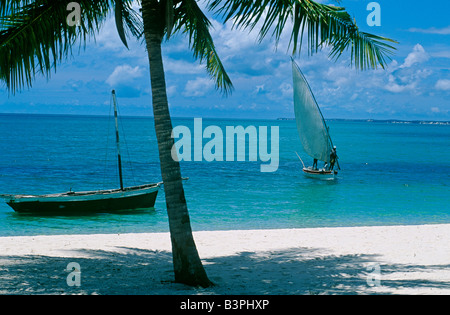 Mozambique Bazaruto, Archiplelago. Un boutre de pêche entre dans la plage de Benguerra Island. Banque D'Images