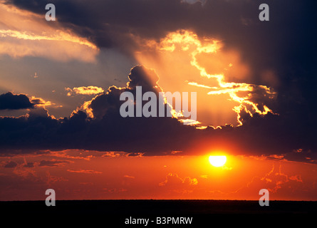 Le coucher du soleil, Parc National d'Etosha, Namibie, Afrique Banque D'Images