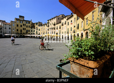 Piazza del Anfiteatro, Piazza Mercato, amphithéâtre, Lucca, Toscane, Italie, Europe Banque D'Images