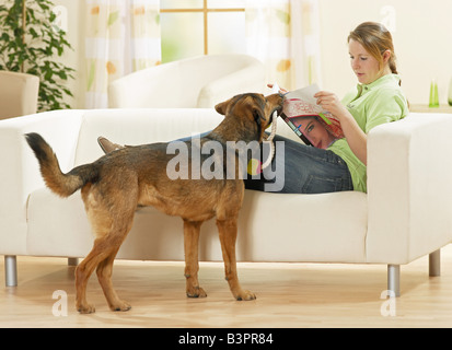 Half Breed dog avec femme / Banque D'Images