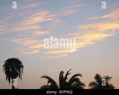 Coucher de soleil Banque D'Images