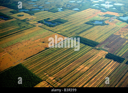 Vue aérienne de champs de ferme près de Wasilla, Alaska, USA, voyage Kink Arceau d'Anchorage Banque D'Images