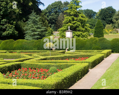 Jolies fleurs rouges dans le jardins espagnol à Newstead Abbey dans le Nottinghamshire England UK Banque D'Images