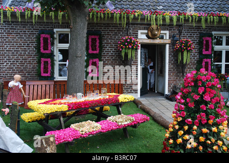 Affichage à fleurs rose festival annuel bi Lottum Limbourg Pays-Bas Banque D'Images