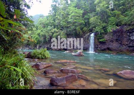 La forêt tropicale vierge drapée Tully River à Tully Gorge National Park North Queensland Australie Banque D'Images