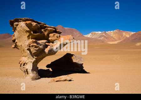 La Bolivie, le sud de l'Altiplano, Arbol de la Piedra. En forme de champignon 'Rock' (Arbol de la Piedra) Banque D'Images