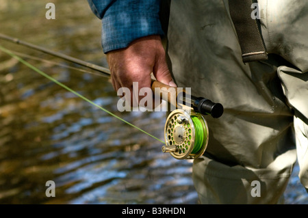 Résident Local poissons voler pour la truite sur Gore Creek, Vail, Colorado en août. Banque D'Images