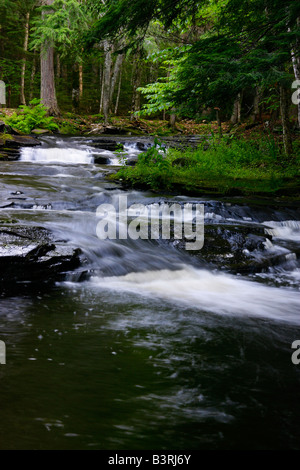 Rigolant Whitefish River Michigan aux États-Unis ruisseau rustique sauvage beau paysage personne d'en haut vue de dessus fond veritcal haute résolution Banque D'Images