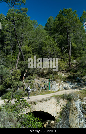 Randonnées dans le Parc Naturel de Cazorla Jaen province Andalousie Espagne Banque D'Images