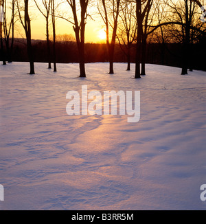 Coucher de soleil sur champ neigeux d'hiver, parc national historique de Valley Forge, Valley Forge en Pennsylvanie, USA Banque D'Images