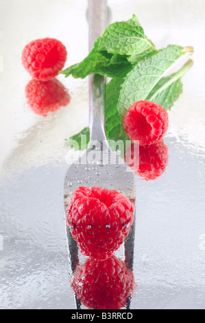 Framboises frais réfrigéré à la menthe sur un fond réfléchissant Banque D'Images