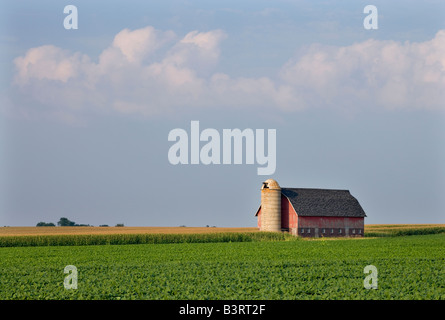 Grange et les champs agricoles, Howard Comté (Iowa) Banque D'Images