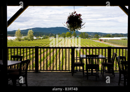 Vue sur la vigne à partir de la salle de dégustation de vins, l'Église et l'État Winery, Brentwood Bay, île de Vancouver, Colombie-Britannique, Canada Banque D'Images