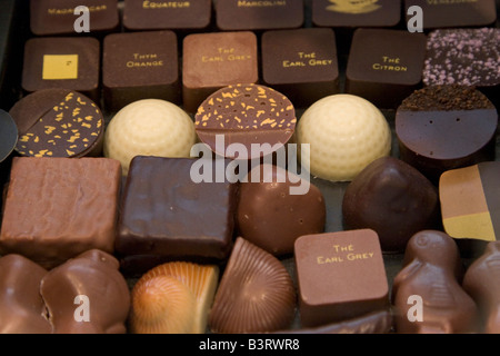 Grand choix et gamme de chocolats belges de luxe exposés à la vente à la populaire boutique Pierre Marcolini à Bruxelles Belgique Banque D'Images